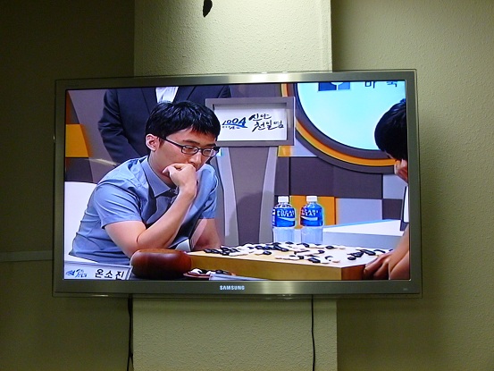 P1000253.jpg